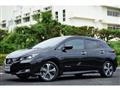 2019 Nissan Nissan Others