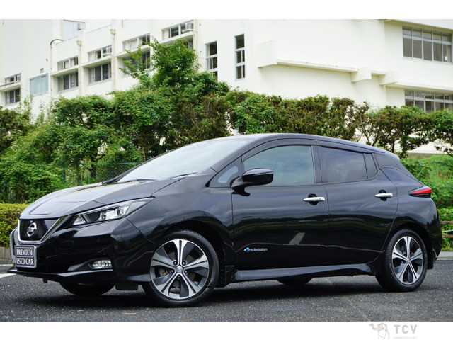 2019 Nissan Nissan Others