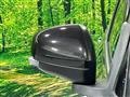 2020 Toyota Raize