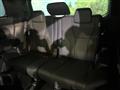 2025 Toyota Alphard Hybrid