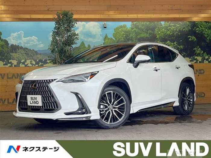 2022 Lexus NX