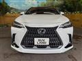 2022 Lexus NX