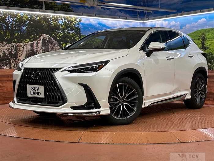 2023 Lexus NX