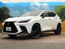 2024 Lexus NX