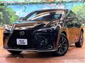 2024 Lexus NX