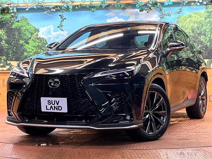 2024 Lexus NX