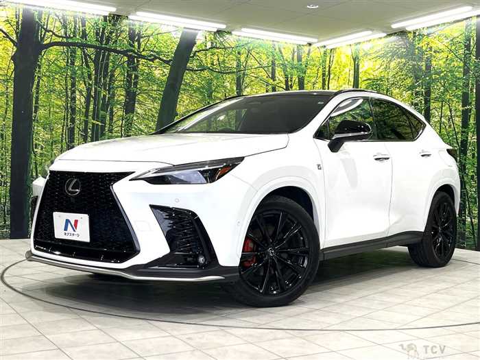 2022 Lexus NX