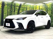 2022 Lexus NX