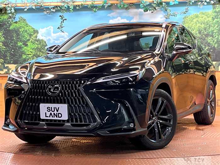 2022 Lexus NX