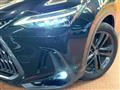 2022 Lexus NX
