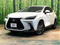 2025 Lexus NX