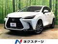 2025 Lexus NX
