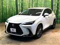 2025 Lexus NX