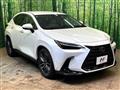 2025 Lexus NX