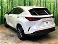 2025 Lexus NX