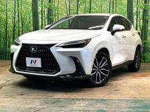 2025 Lexus NX