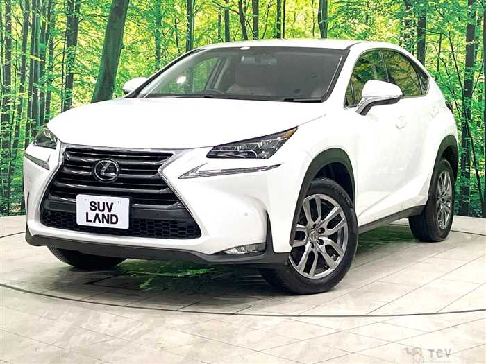 2014 Lexus NX