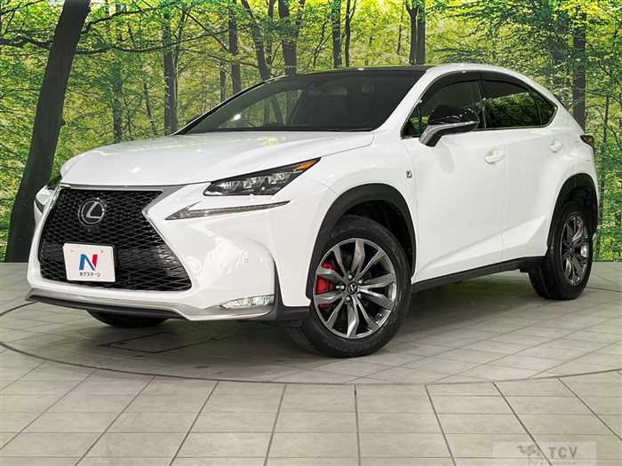 2016 Lexus NX
