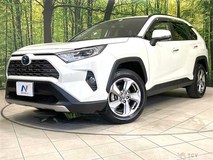 2020 Toyota RAV4