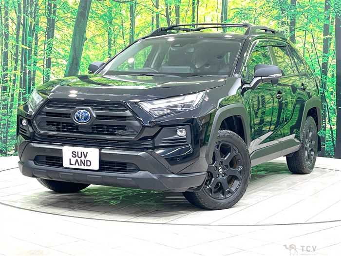 2022 Toyota RAV4