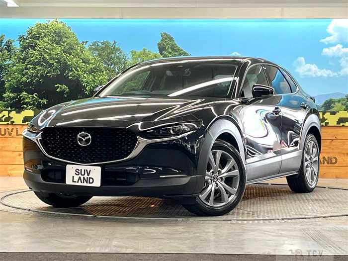 2023 Mazda Mazda Others