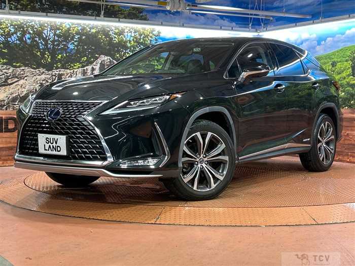 2021 Lexus RX