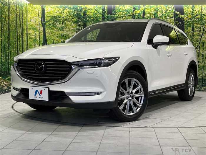 2018 Mazda CX-8