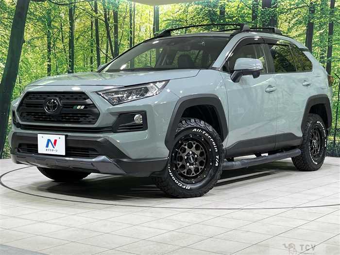 2019 Toyota RAV4