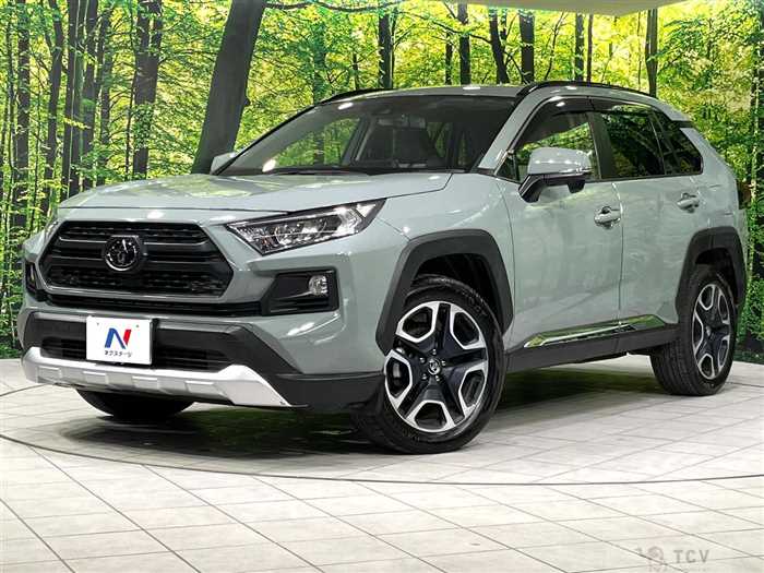 2019 Toyota RAV4