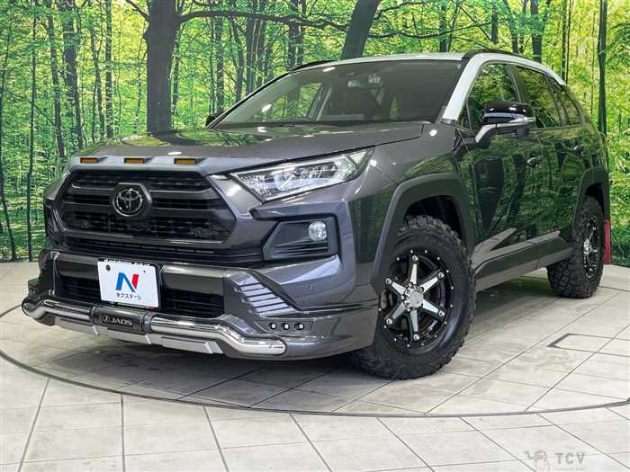 2019 Toyota RAV4