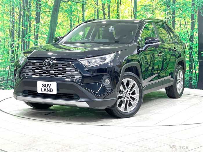 2019 Toyota RAV4