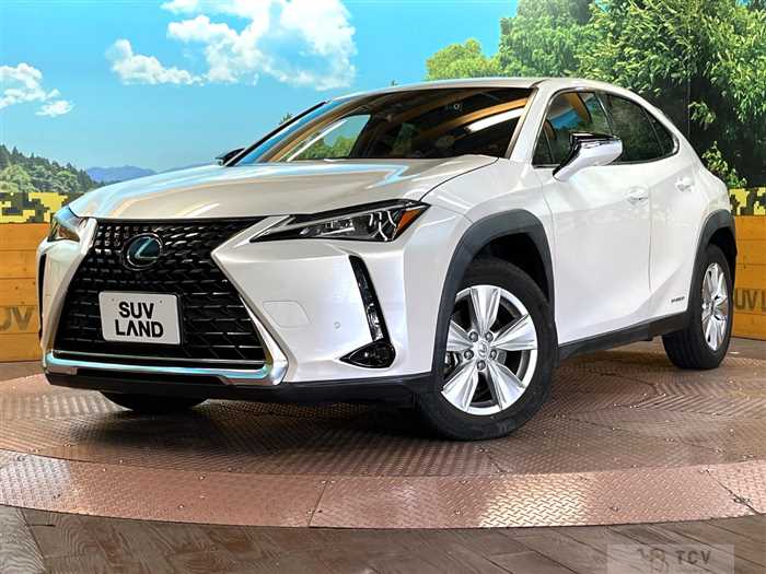 2020 Lexus Other