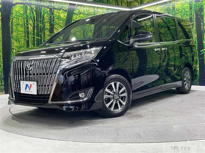 2019 Toyota Esquire