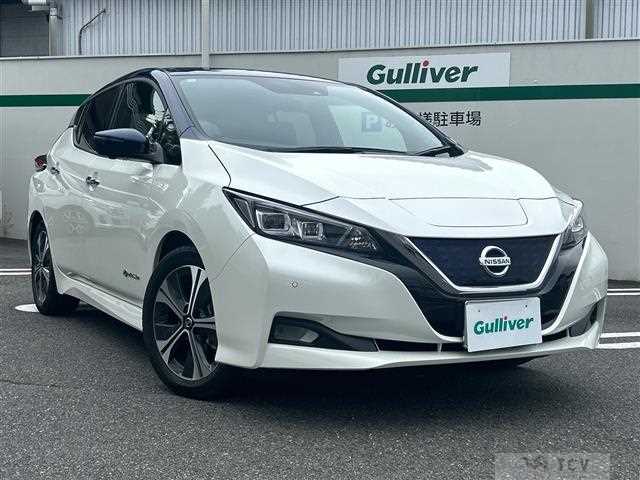 2020 Nissan Leaf