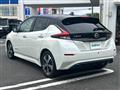 2020 Nissan Leaf