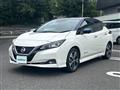 2020 Nissan Leaf