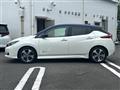 2020 Nissan Leaf