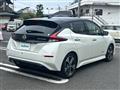 2020 Nissan Leaf