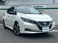 2020 Nissan Leaf