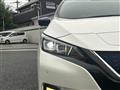 2020 Nissan Leaf