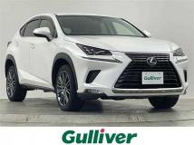 2017 Lexus NX