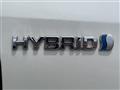 2013 Toyota Estima Hybrid