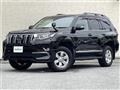 2019 Toyota Land Cruiser Prado