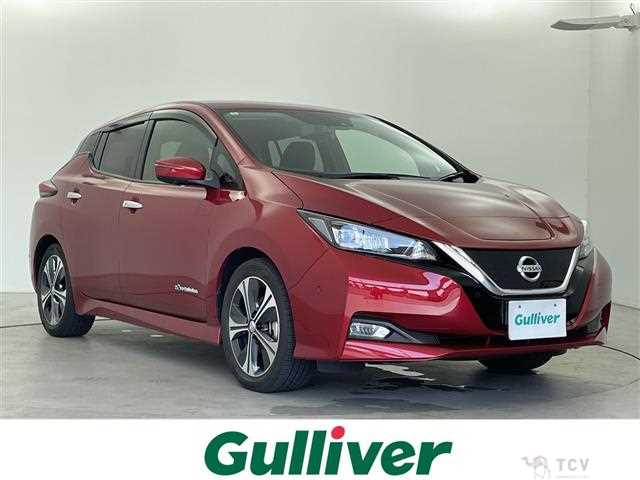 2018 Nissan Leaf