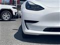 2021 Tesla Motors Others