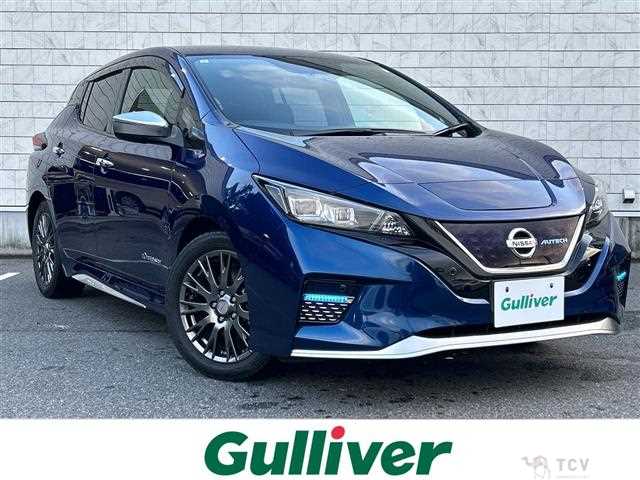 2019 Nissan Leaf