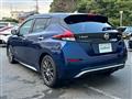 2019 Nissan Leaf