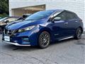 2019 Nissan Leaf