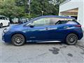 2019 Nissan Leaf