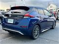 2019 Nissan Leaf